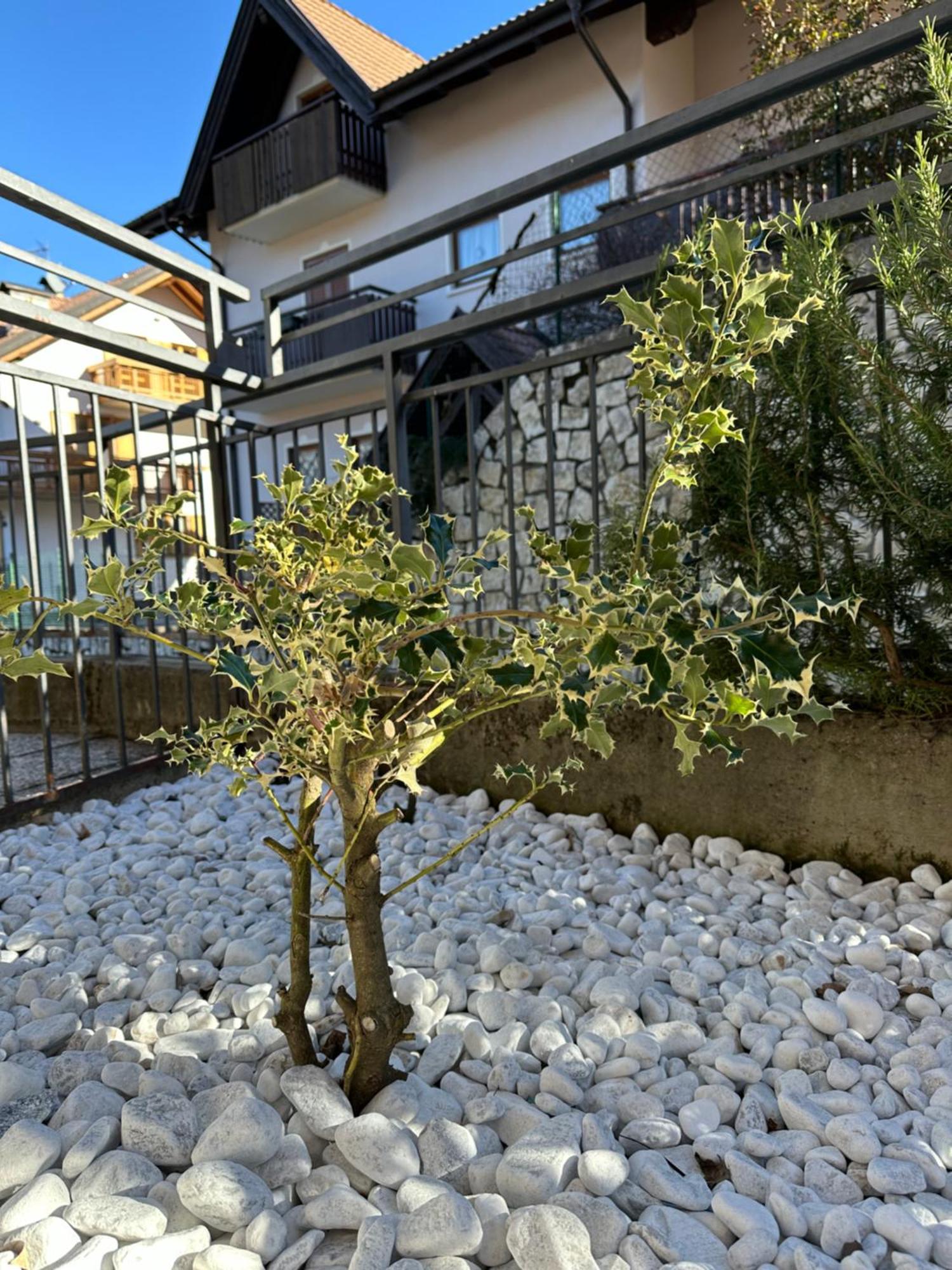 Casa Vacanza La Croseta Trento Exteriör bild